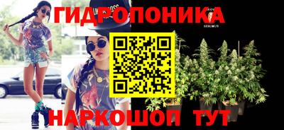 сатива Можайск