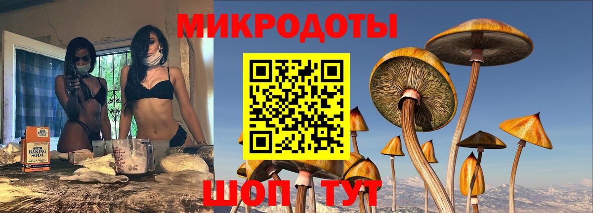 Галлюциногенные грибы GOLDEN TEACHER Бор