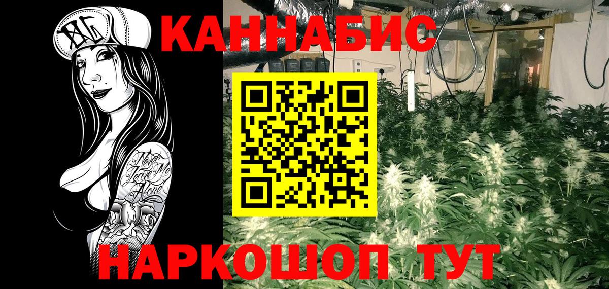 Бошки Шишки тримм  МАРИХУАНА гибрид  Вход с VPN  Каннабис Bruce Banner  Бор 